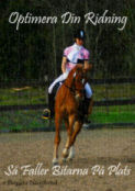 Boken